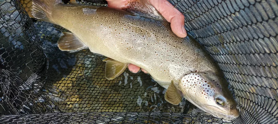 IMG_20220626_190255_resultat